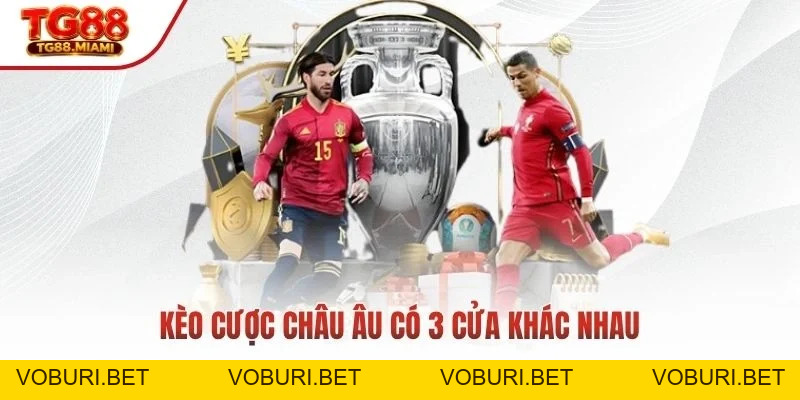 Cá Độ Bóng Đá Online - Cá Cược Thể Thao Hot Nhất 2026