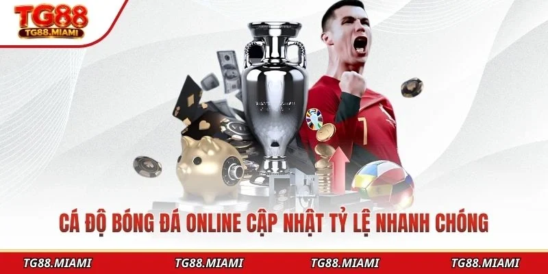 Cá Độ Bóng Đá Online - Cá Cược Thể Thao Hot Nhất 2026
