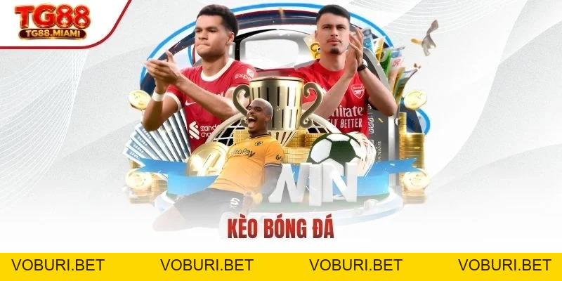SBOBET - Điểm Đến Hoàn Hảo Cho Đam Mê Cá Cược Thể Thao