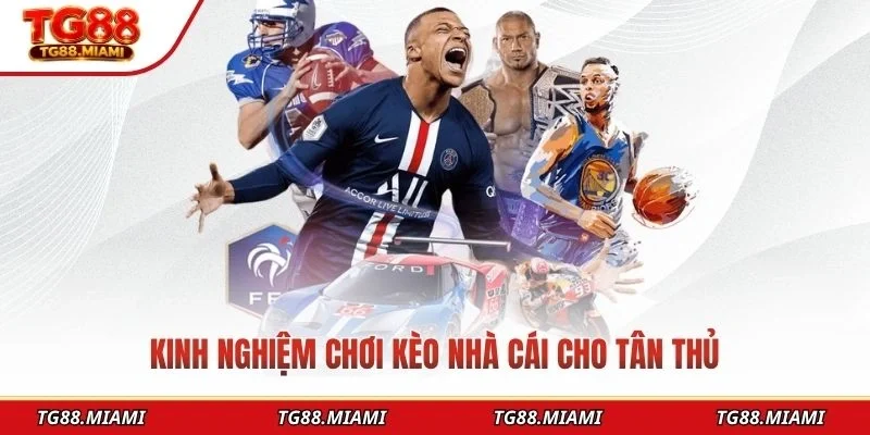 Kèo Nhà Cái - Cập Nhật Tỷ Lệ Kèo Chuẩn Xác Tại TG88.