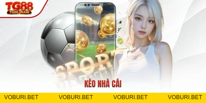 SBOBET - Điểm Đến Hoàn Hảo Cho Đam Mê Cá Cược Thể Thao