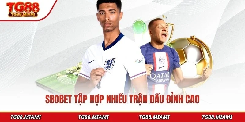 SBOBET - Điểm Đến Hoàn Hảo Cho Đam Mê Cá Cược Thể Thao