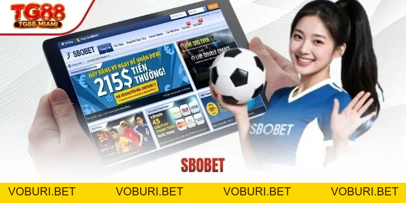 Thể Thao TG88 - Kèo Nhà Cái Chuẩn Xanh Chín Hàng Đầu 2026