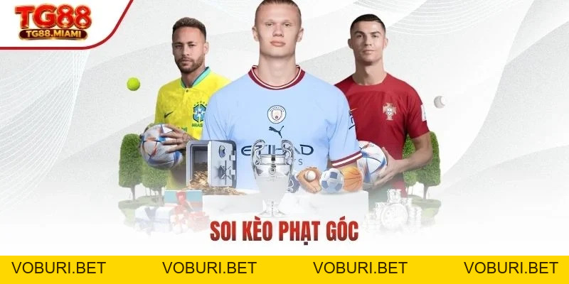 SBOBET - Điểm Đến Hoàn Hảo Cho Đam Mê Cá Cược Thể Thao