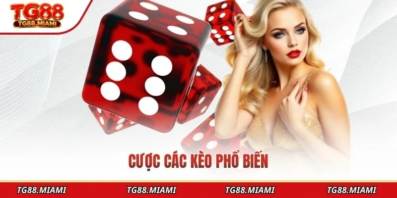 Tài Xỉu Online - Giải Trí Đỉnh Cao, Cập Nhật Liên Tục 2026