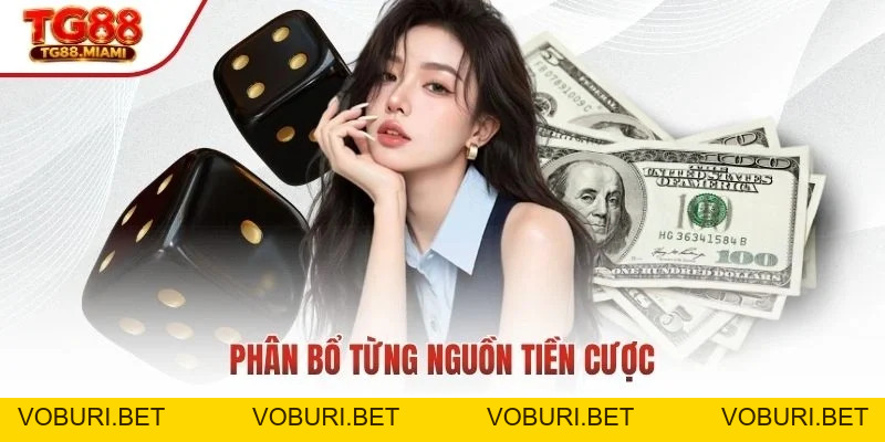 Tài Xỉu Online - Giải Trí Đỉnh Cao, Cập Nhật Liên Tục 2026
