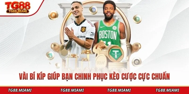 Tỷ Lệ Kèo - Yếu Tố Quan Trọng Khi Soi Kèo Bóng Đá Tại TG88