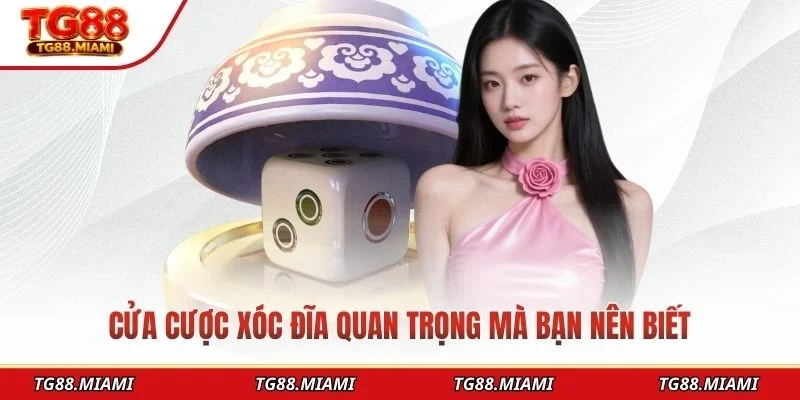 Xóc Đĩa Online - Giải Trí Đỉnh Cao Dành Cho Người Chơi 2026