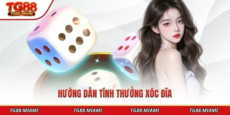 Xóc Đĩa Online - Giải Trí Đỉnh Cao Dành Cho Người Chơi 2026