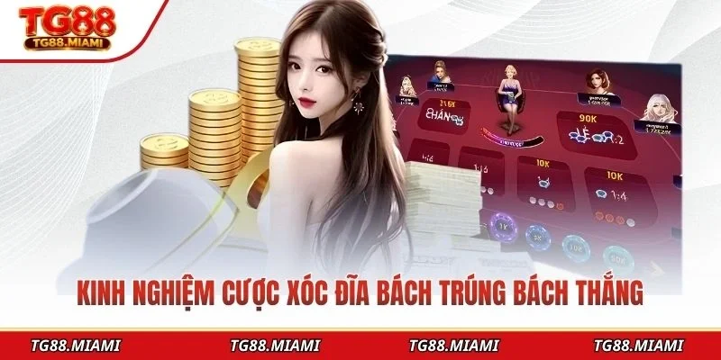 Xocdia88 - Trải Nghiệm Xóc Đĩa Trực Tuyến Đỉnh Cao Tại TG88