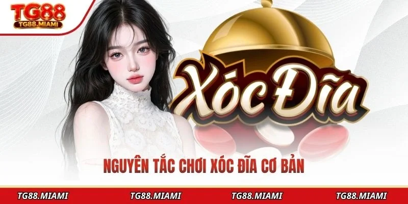 Xocdia88 - Trải Nghiệm Xóc Đĩa Trực Tuyến Đỉnh Cao Tại TG88